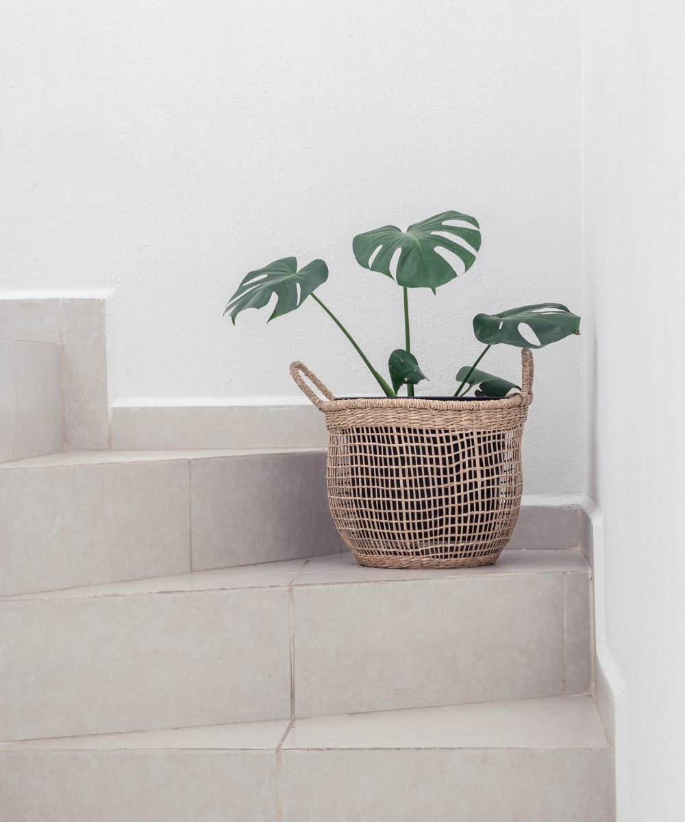 Concrete Soap Dispenser - Image 2